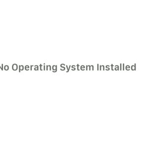 No Operating System Installed