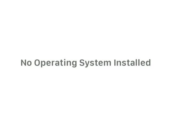 No Operating System Installed