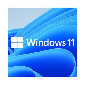 Microsoft Windows 11 Home Retail 64-bit USB Flash Drive